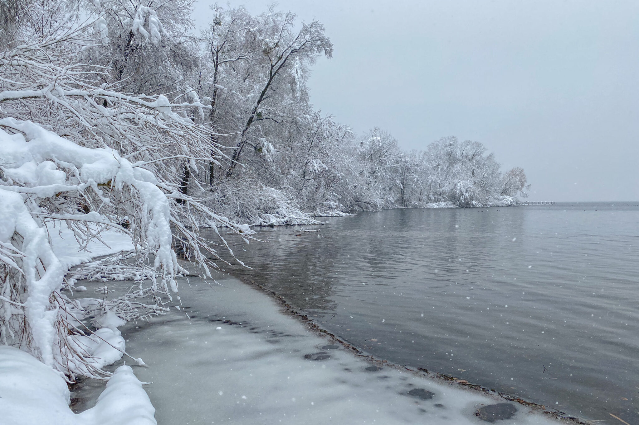 Wintermorgen im Choller