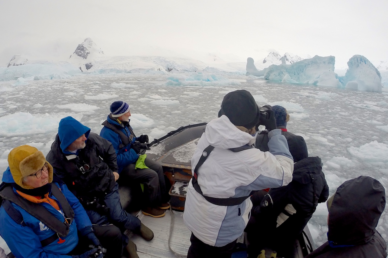 Beschauliche Momente zwischen Eisbergen
