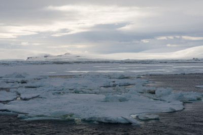 Eisberge und Eismassen im Weddellmeer