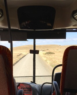 Busfahrt nach Ushuaia