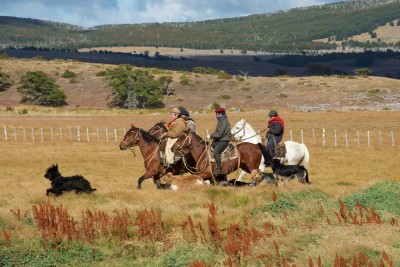 Eine Gruppe Gauchos unterwegs