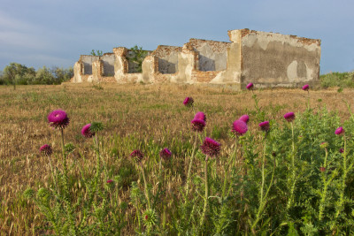 Ruinen der ehemaligen Fischfarm