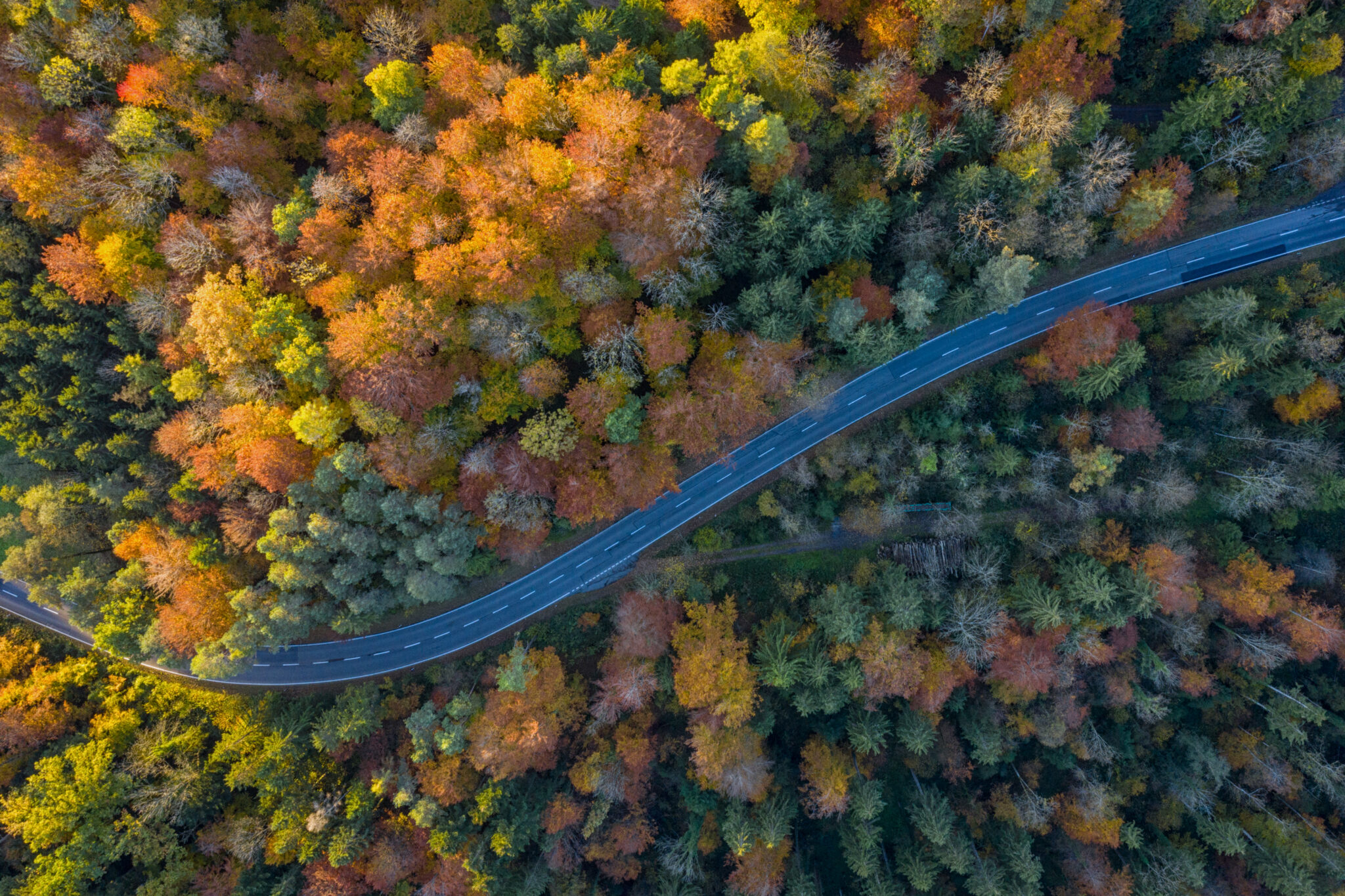 Baarburg_Strasse_Herbst