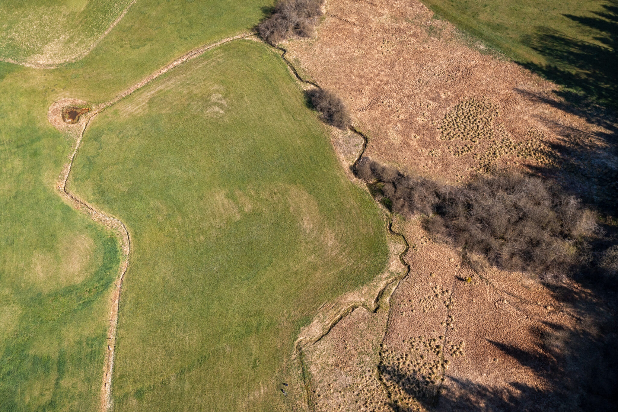 Les_Goudebas_Flachmoor