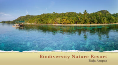 Film Biodiversity Nature Resort Raja Ampat