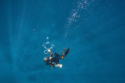 Diver