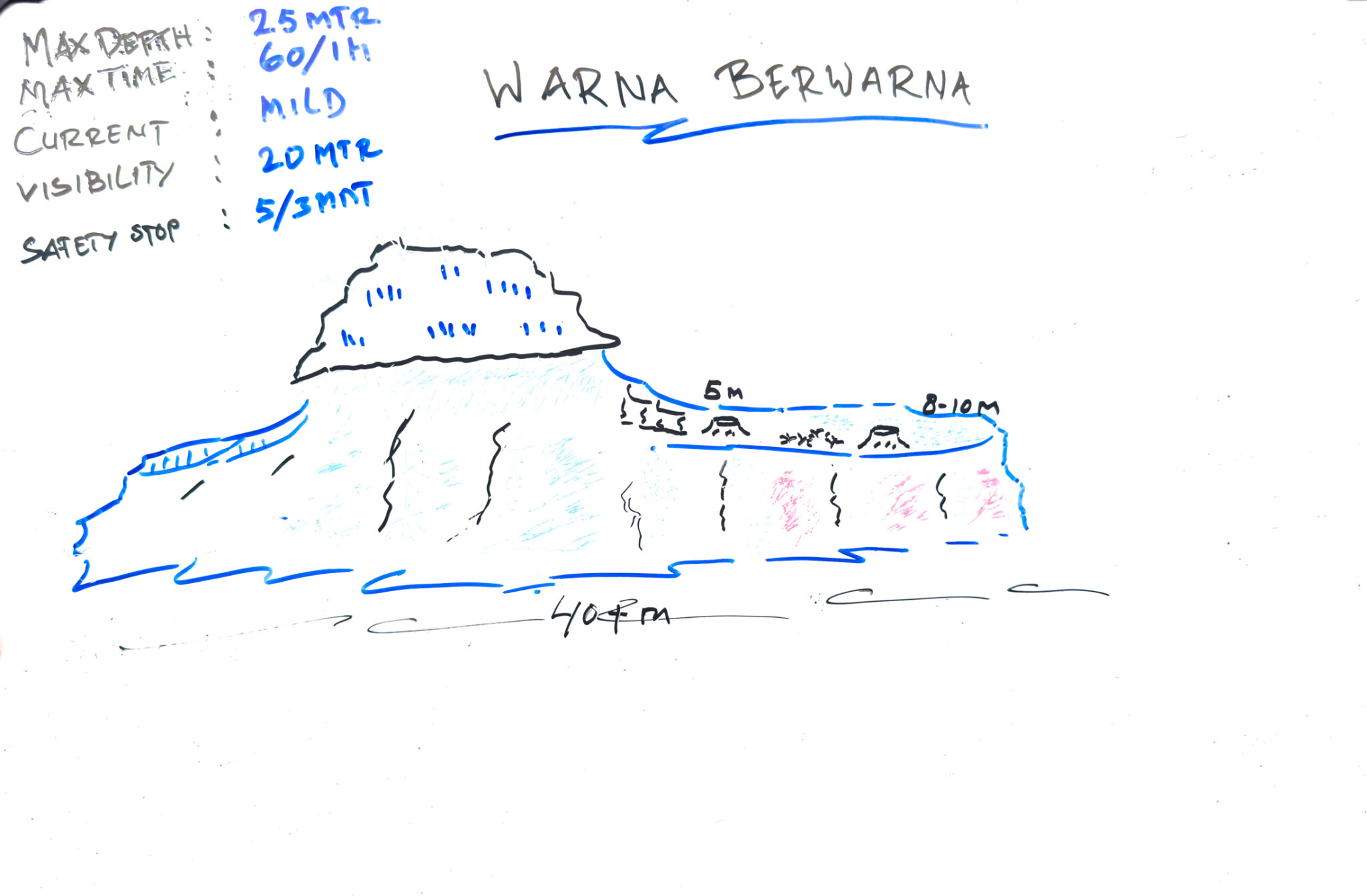 Livaboard_Program_Diveside