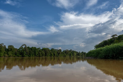 Kinabatangan_River