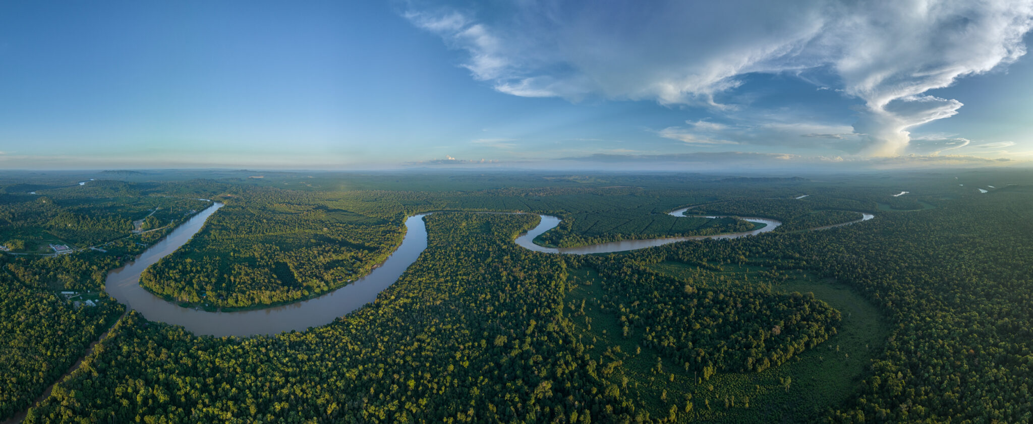 Kinabatangan_River_Sukau