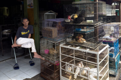 Malang_Animal_Market