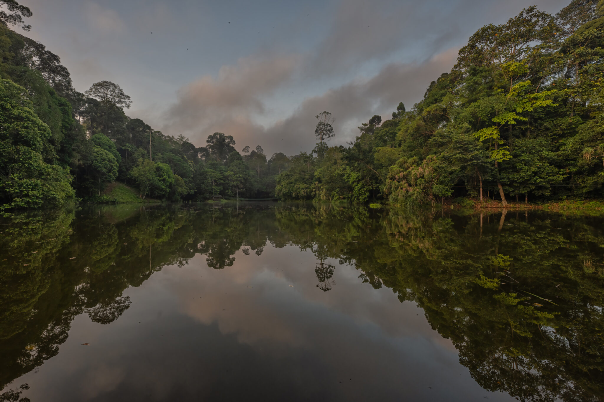 Rainforest_Discovery_Center_Sepilok