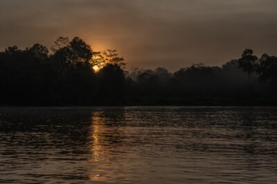 Sonnenuntergang am Kinabatangan River