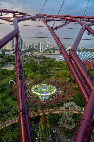 Singapore_Flyer_from_Supertree_Observatory