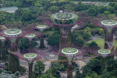 Singapore_Tree_Grove