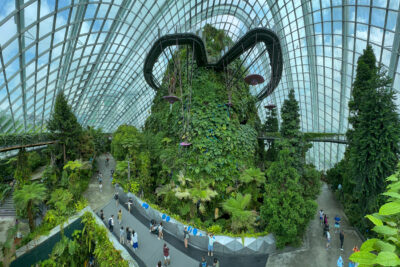 Singapore_Tree_Top_Walk_Dome