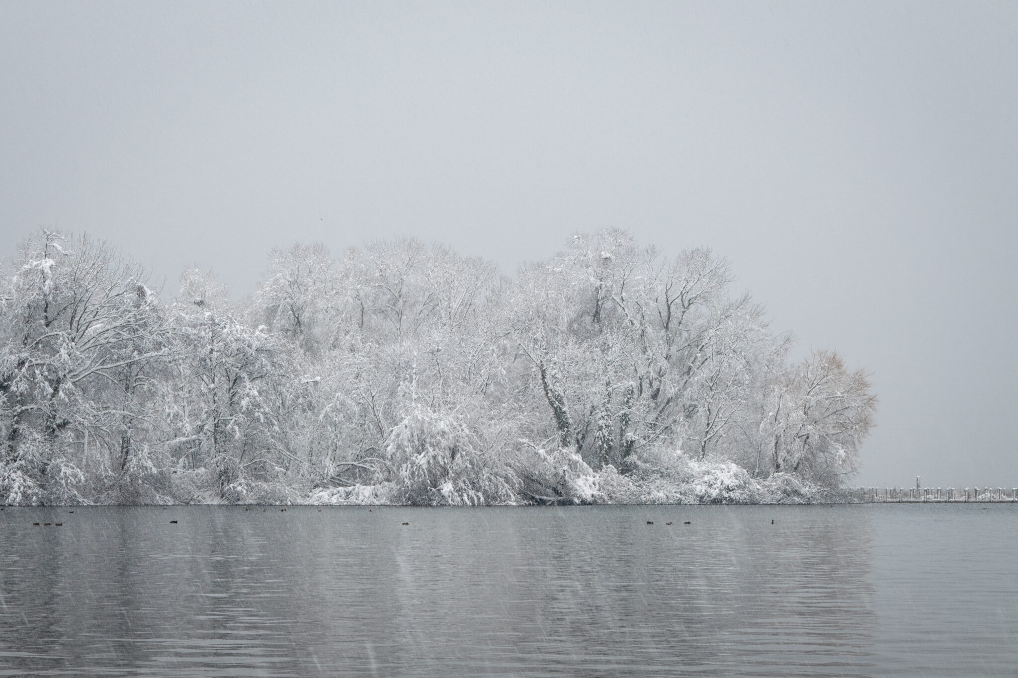 Choller Winterstimmung