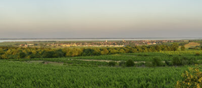 Neusiedlersee_Landschaft
