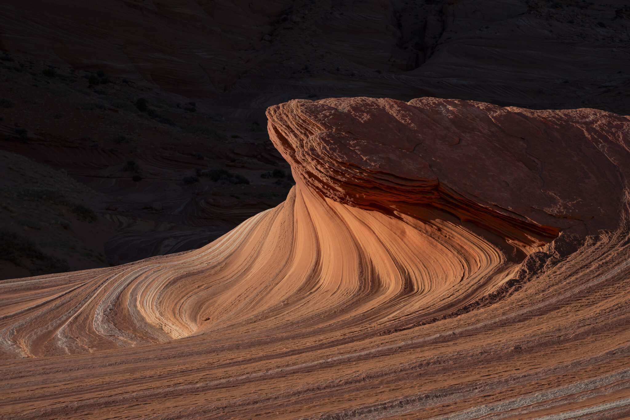 Second_Wave_Vermilion_NP